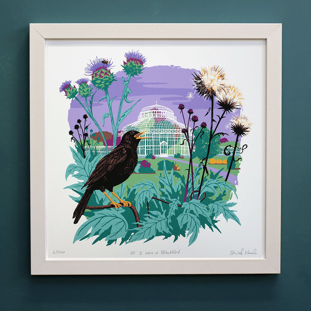 If I Were a Blackbird - Sinéad Woods